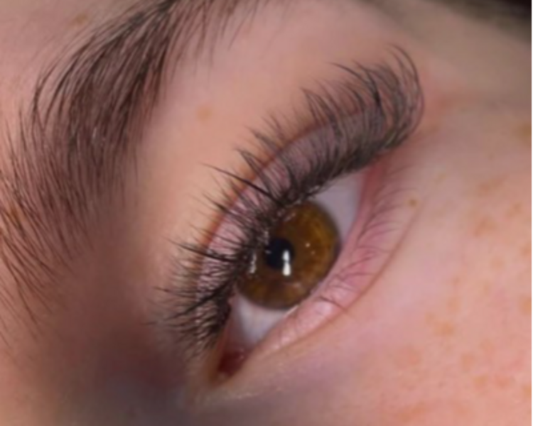 INICIO APLICACION (PESTAÑAS) HIBRIDAS