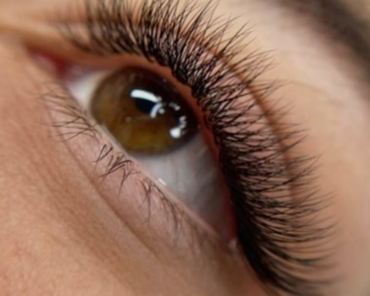 INICIO APLICACION (PESTAÑAS) TECNOLOGICAS 3 O 4D