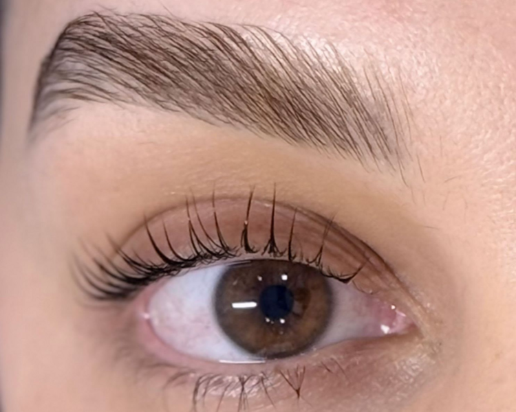 Paquete Lash Lifting + Brow Lamination + Color en ambas (NO INCLUYE DISEÑO NI DEPILACION)