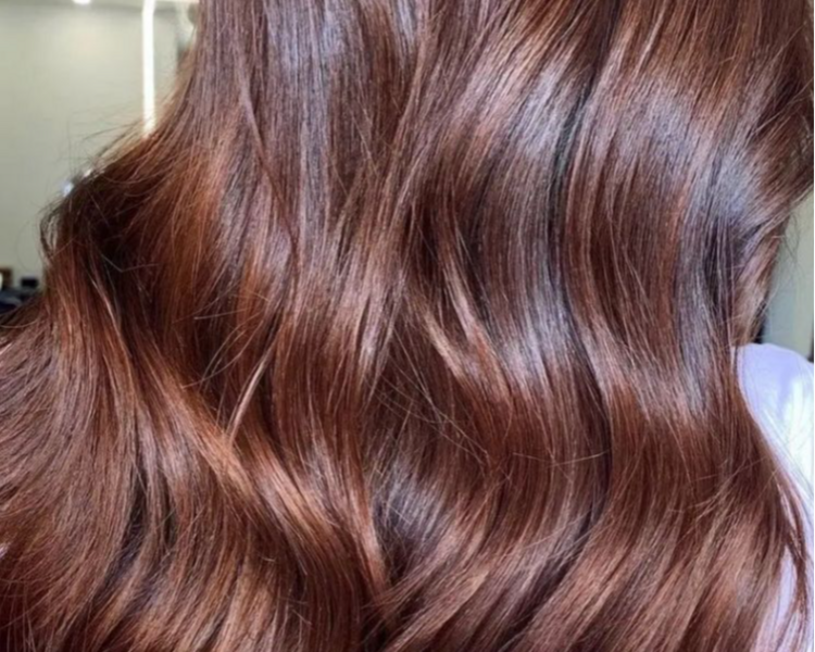 Aplicacion de Tinte Completo