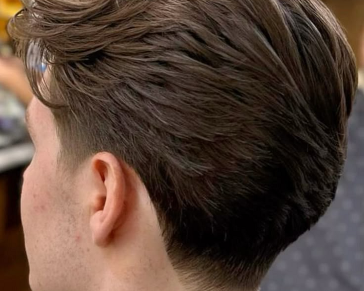 Corte de Caballero & Lavado 