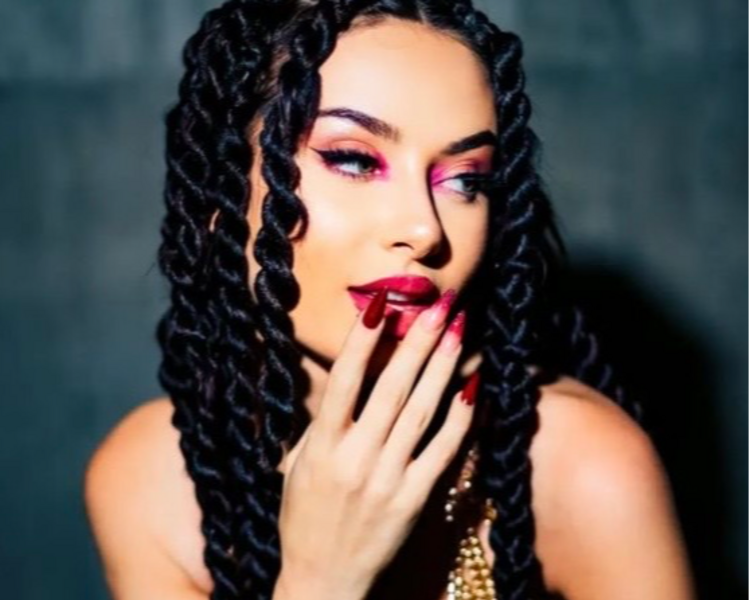 Trenzas cascadas (diseño de colores para concierto)