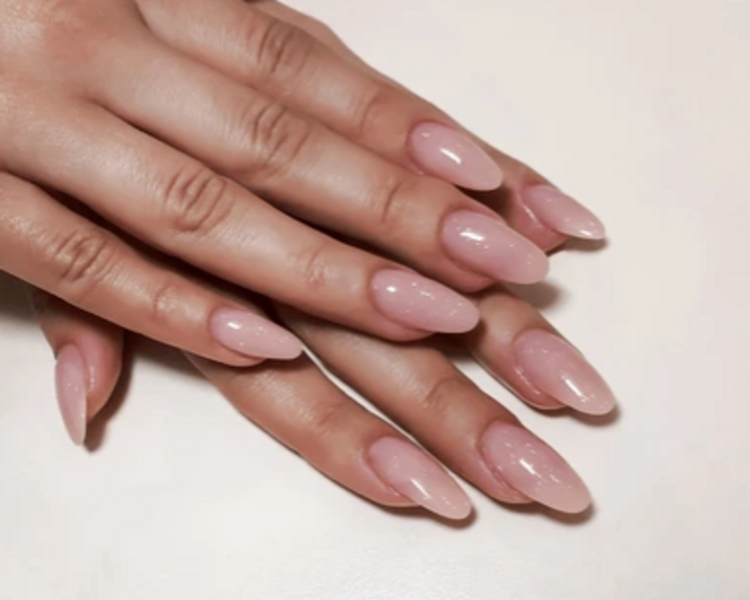 Gel Protector/Correction