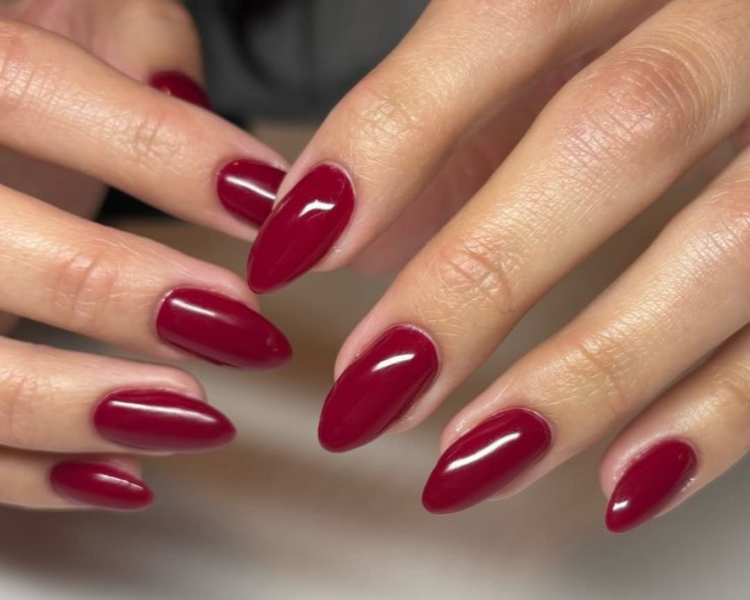 PLEXIGEL SHAPER PAQUETE