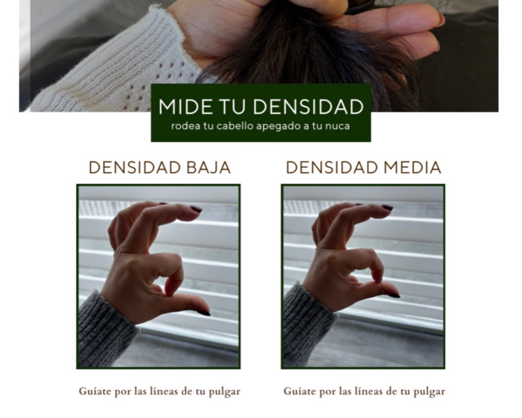 RIZOS DEFINIDOS (DEFINICIÓN)