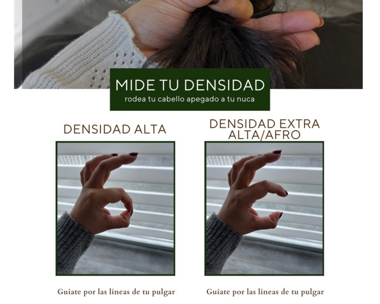 RIZOS DEFINIDOS (DEFINICIÓN)