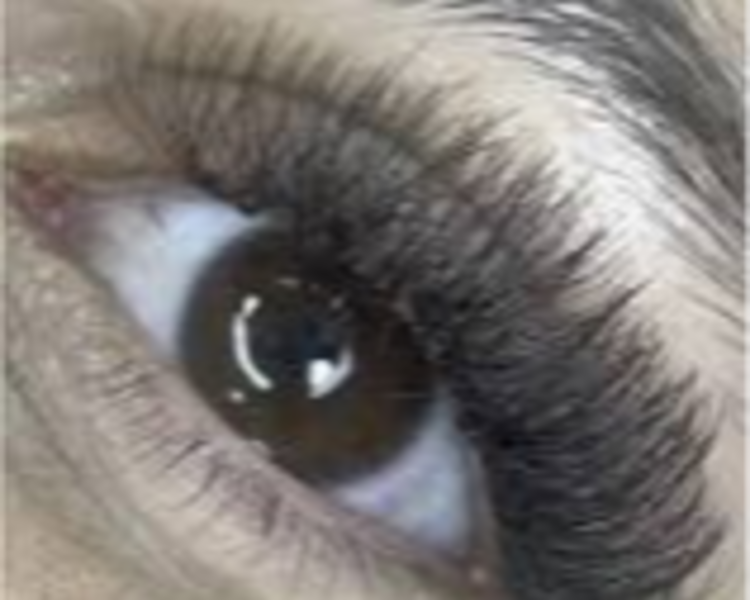 EXTENSIONES TECNOLOGICAS 6D