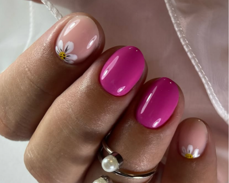 Combo Anni (Nivelación)