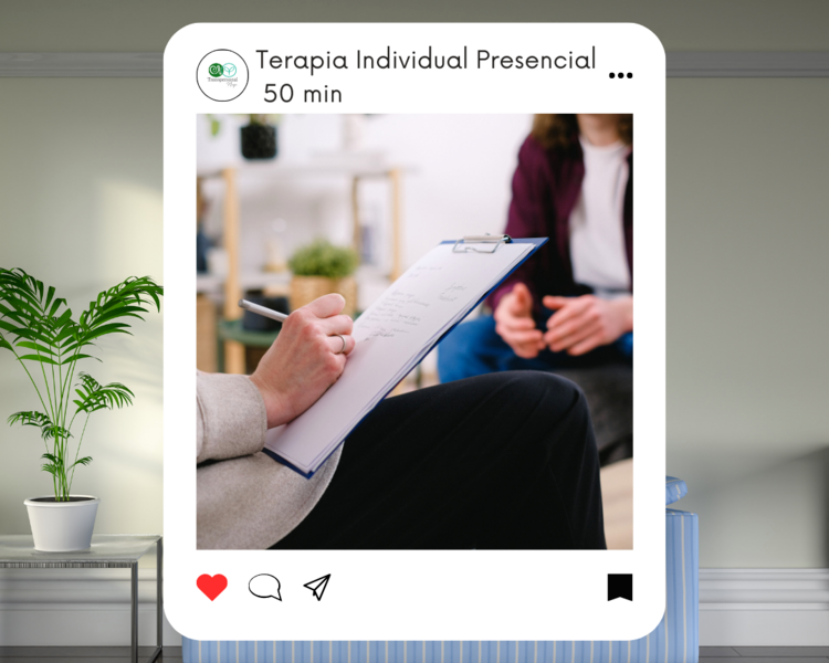 Terapia Individual Seguimiento
