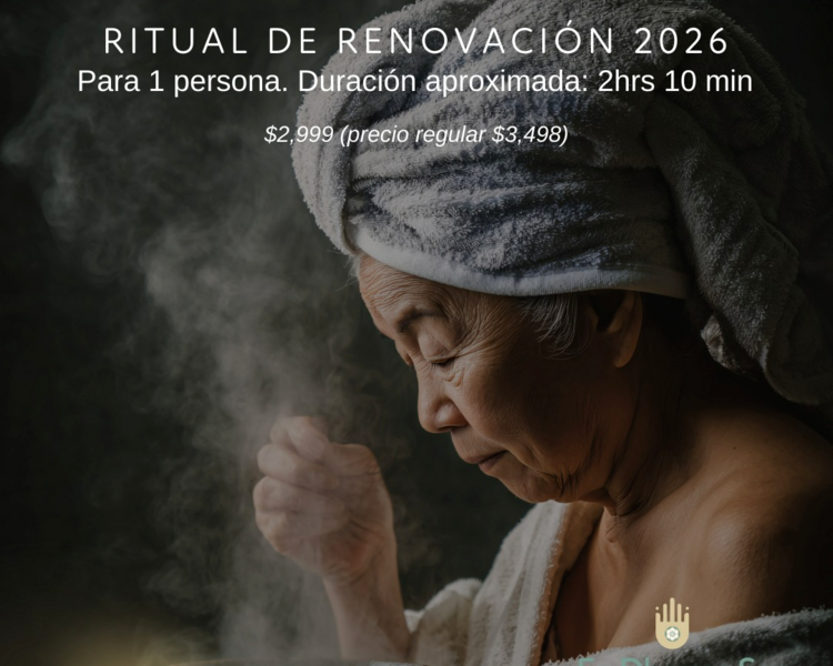 Ritual de Renovación 2026✨||✨2026 Renewal Ritual (para 1/ for 1)