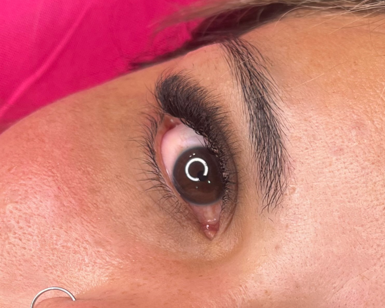 Volumen Hollywood 5D