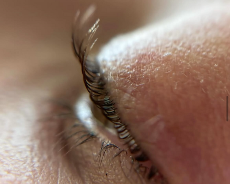 Lifting de Pestañas Venusina