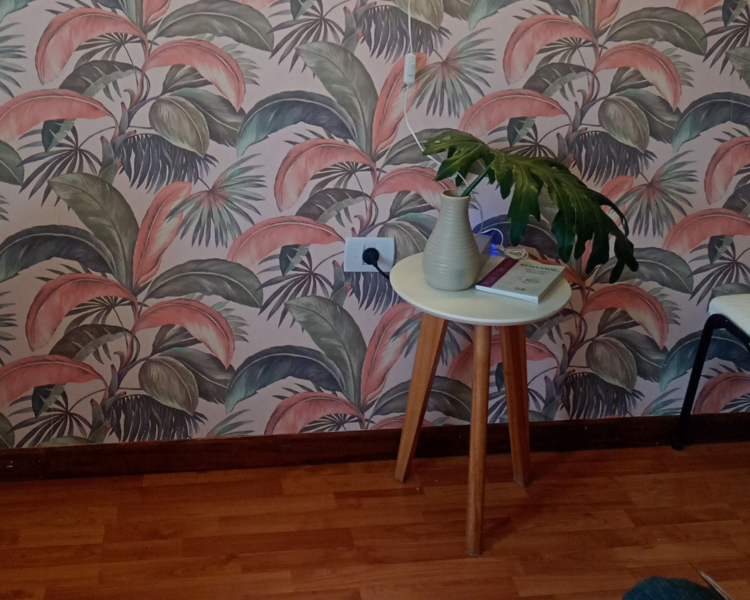 DERMOPLANIG COMPLETO ELIMINADO CELULAS MUERTAS 