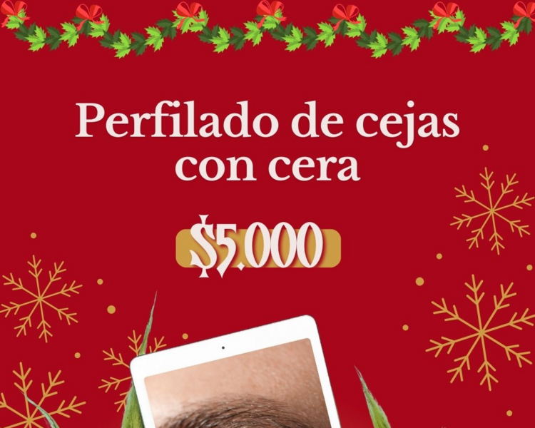 NAVIDAD- Perfilado de Cejas con cera