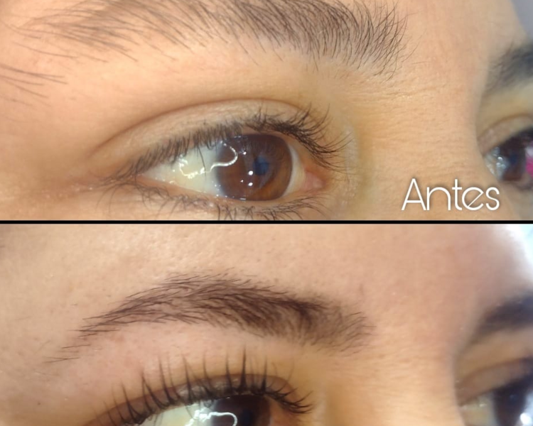 Henna ( solo color SIN DEPILACION )