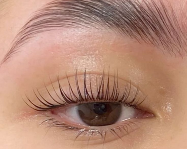 PROMO Lifting con tinte y Laminado de cejas (Henna opcional)