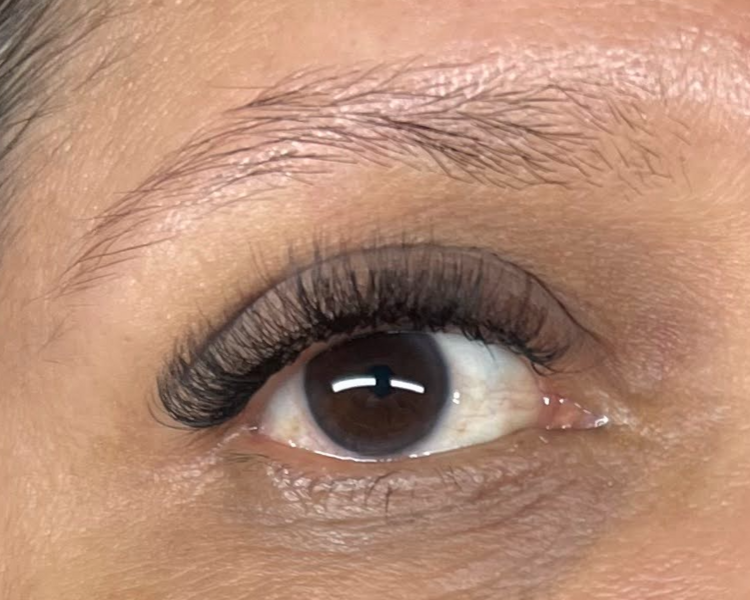 Volúmen Tecnológico 3D/4D