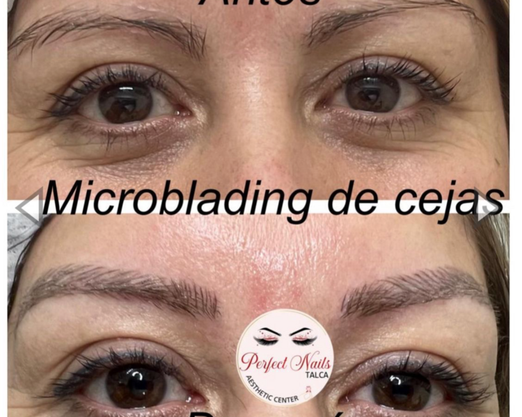 Microblading de Cejas + Retoque