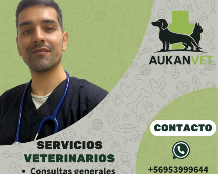 Consulta Domiciliaria 