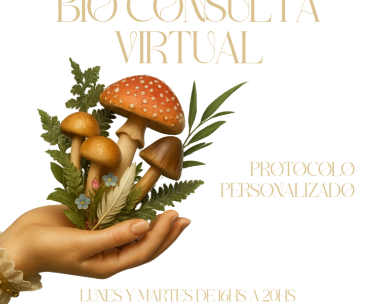 Bio Consulta Virtual
