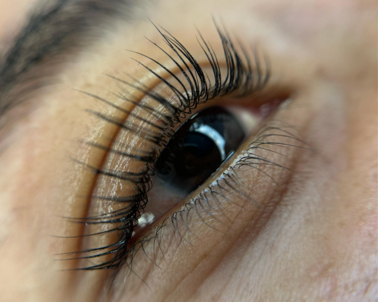 Laminado de Pestañas