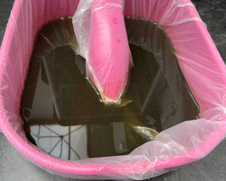 Desintoxicación Iónica