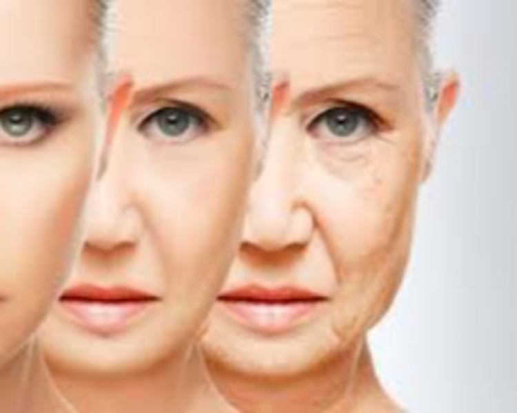 Age Control Premium - Anti Age