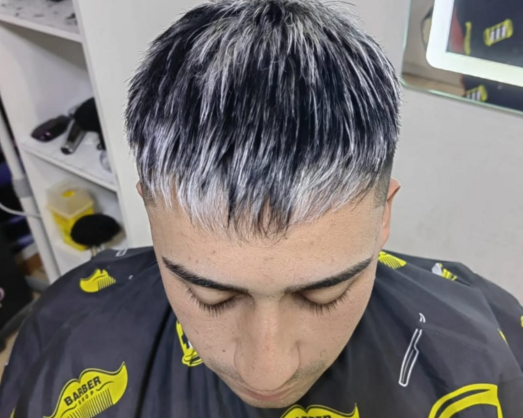 VISOS GRIS SILVER, CENIZAS, COLORES 