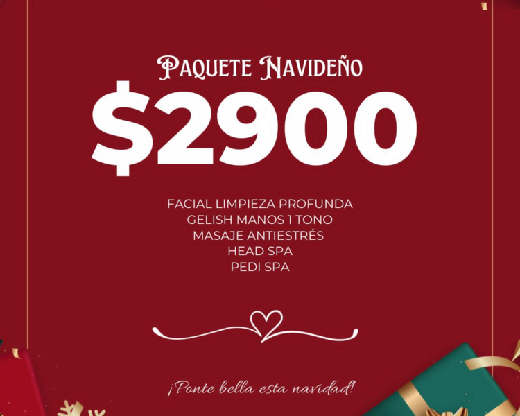 Paquete Navideño 🎁