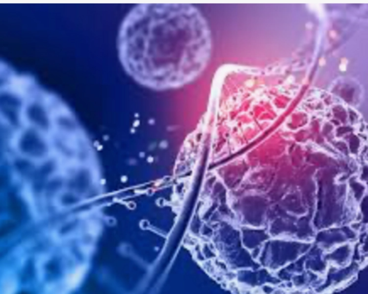 EXOSOMAS - (1,000cm 18 billones)