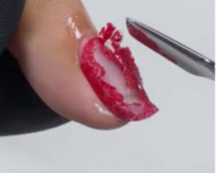 Retiro Semipermante De Otro Lugar 