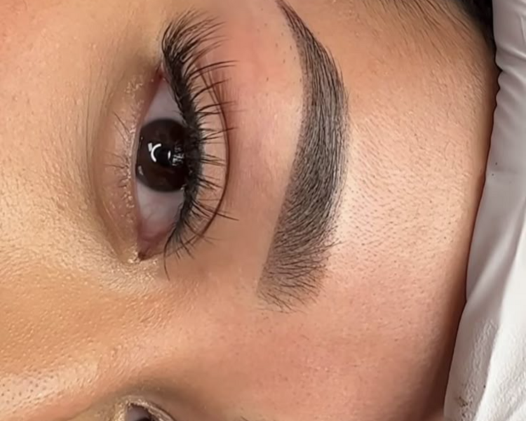 Cejas  (2 Secciones)