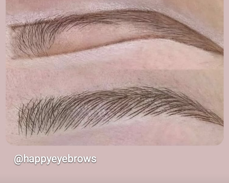 Microblanding cejas pelo a pelo