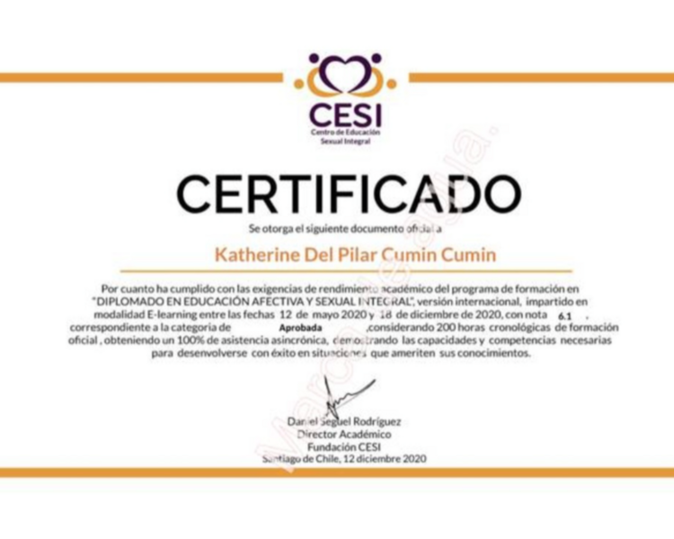Consulta De Sexología Y Terapia Sexual Presencial Puerto Montt (Particular).