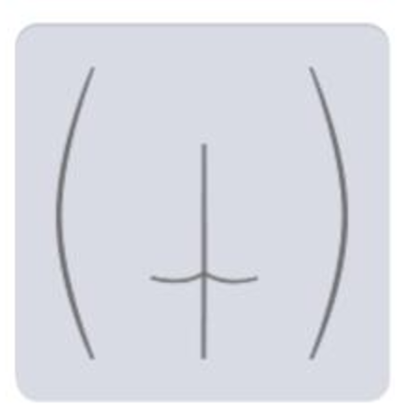 Zona Interglutea o Zona Anal/ damas