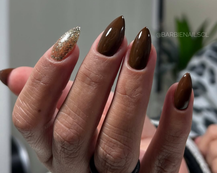 Polygel + Esmaltado Permanente