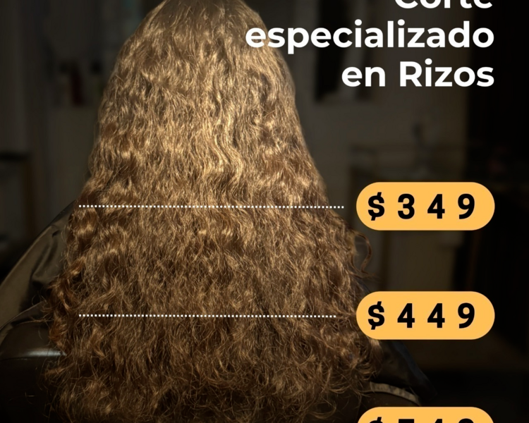 PROMO Corte de rizos en seco personalizado (no incluye lavado, ni estilizado)