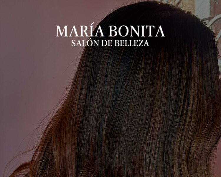 Retoque de raiz + peinado