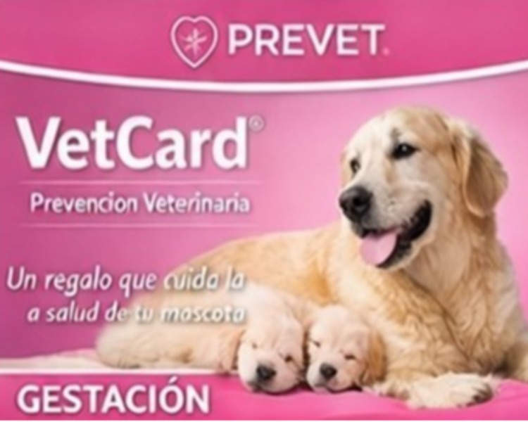 Pack Gestación perros 