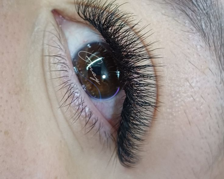 *✨SET VOLUMEN QUEEN 4D - 5D (Con fibra Tecnologica)