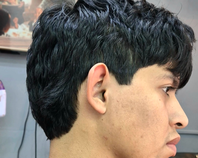 DELINEADO DE CONTORNOS 