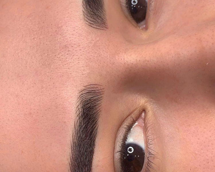 Técnica Híbrida (Microblading + Shadow)