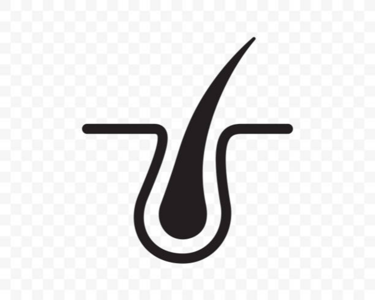 Consulta CAPILAR Presencial