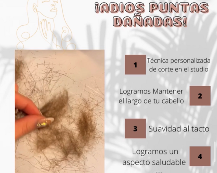 CORTE BORDADO PROFESIONAL