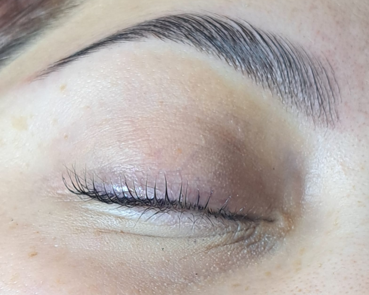 diseño y Perfilado de Cejas con Henna o Tinte