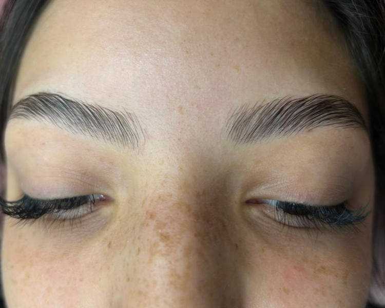 Laminado de Cejas (incluye nutrición)