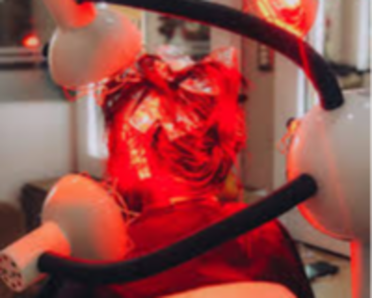 Alisado ORGANICO Sellado Laser