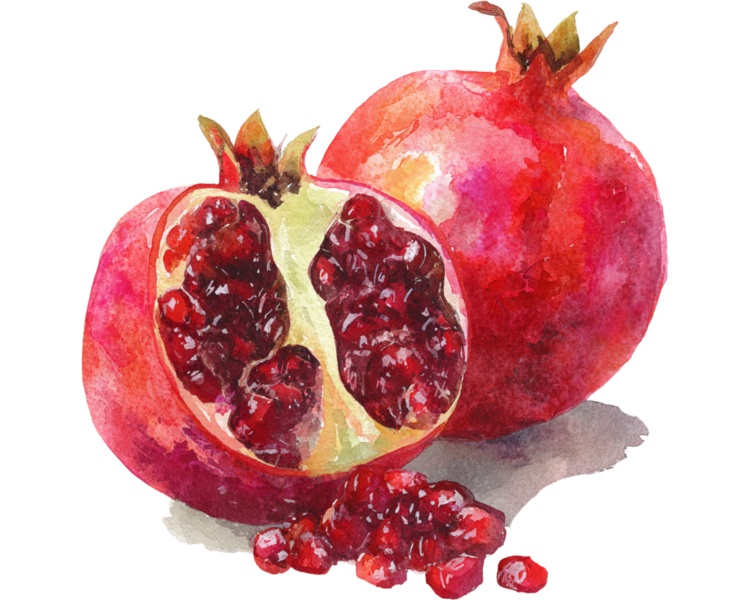 Plan Granada: 6 SESIONES