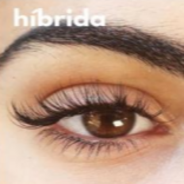 PESTAÑAS HIBRIDO