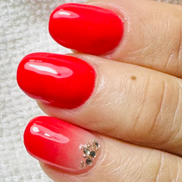 Esmaltado permanente 1color